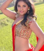 actress-hot-photos-in-red-saree-17