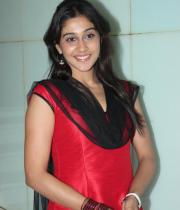 actress-hot-photos-in-red-saree-20