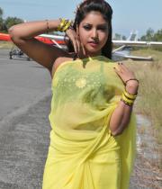 komal-jha-latest-saree-photos-12