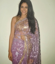 lavanya-tripathi-transparent-violet-saree-stills-6-679x1024