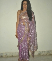 lavanya-tripathi-transparent-violet-saree-stills-7-679x1024