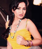 actress-maadhavi-latha-new-hot-photos-29