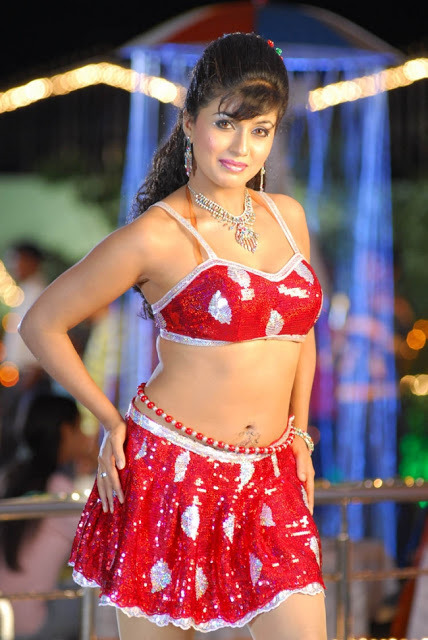 shagupta jareen hot item song photos 13 Shagupta Jareen Hot Item Song Photos