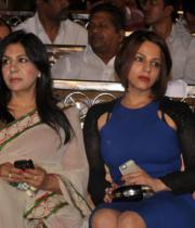 nandi-awards-2013-images-11