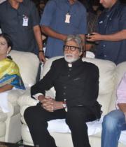 nandi-awards-2013-images-3