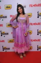 stars-at-59th-south-filmfare-awards-red-carpet-24