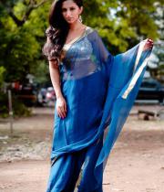 aasheeka-hot-photo-shoot-stills-in-saree-03
