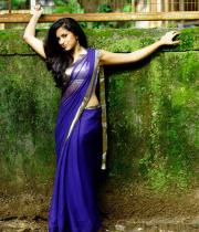 aasheeka-hot-photo-shoot-stills-in-saree-18