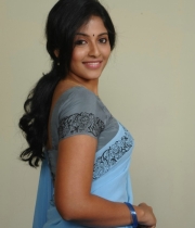 actress-anjali-latest-saree-photos-20