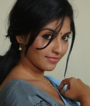 actress-anjali-latest-saree-photos-33