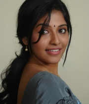 actress-anjali-latest-saree-photos-36