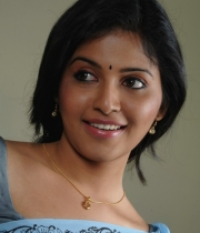 actress-anjali-latest-saree-photos-48