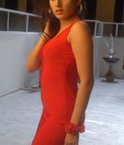 actress-archana-latest-hot-photos-1232