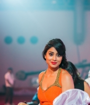 celebs-hot-photos-at-siima-awards-2013-event-7