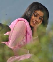actress-actress-poorna-latest-hot-photos-03