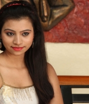 priyanka-hot-stills-at-premaledani-movie-press-meet-102