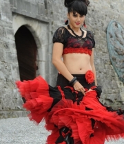 actress-tapsee-latest-images-6