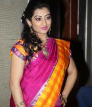 actress-actress-tejaswini-latest-photo-shoot-photos-24