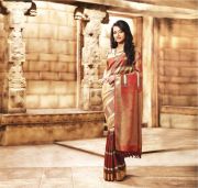 actress-trisha-krishnan-cute-photos-in-saree-16
