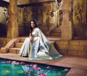 actress-trisha-krishnan-cute-photos-in-saree-17