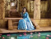 actress-trisha-krishnan-cute-photos-in-saree-18