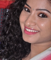 actress-vishnu-priya-at-pochampally-saree-mela