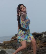 adonika-spicy-gallery29