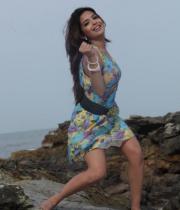 adonika-spicy-gallery30