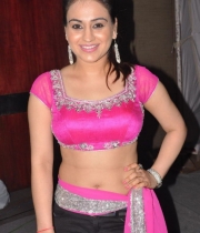 aksha-pardasany-hot-stills-03
