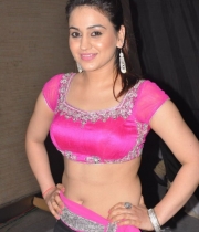 aksha-pardasany-hot-stills-11