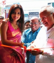 amala-paul-hot-in-saree-2