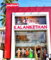 amala-paul-hot-in-saree-9