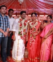 celebs-at-amala-vijay-wedding-images08