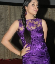 anasuya-stills-current-theega-success-meet-6-646x1024