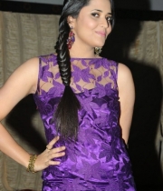 anasuya-stills-current-theega-success-meet-9-646x1024