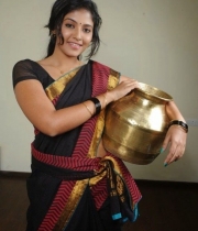 anjali-beautiful-photo-stills-in-black-saree-11