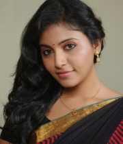 anjali-beautiful-photo-stills-in-black-saree-13