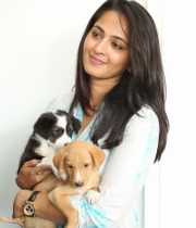 anushka-at-blue-cross-pet-carnival-event-112 anushka-at-blue-cross-pet-carnival-event-112