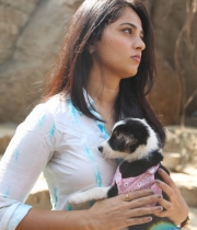 anushka-at-blue-cross-pet-carnival-event-114 anushka-at-blue-cross-pet-carnival-event-114