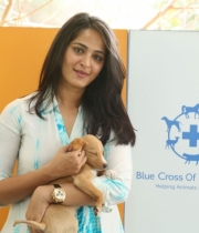 anushka-at-blue-cross-pet-carnival-event-147 anushka-at-blue-cross-pet-carnival-event-147