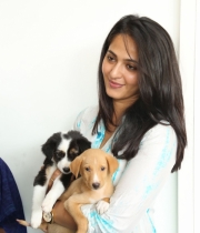 anushka-at-blue-cross-pet-carnival-event-158 anushka-at-blue-cross-pet-carnival-event-158