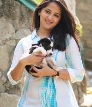 anushka-at-blue-cross-pet-carnival-event-23 anushka-at-blue-cross-pet-carnival-event-23