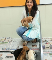 anushka-at-blue-cross-pet-carnival-event-97 anushka-at-blue-cross-pet-carnival-event-97