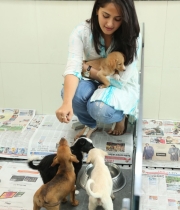 anushka-at-blue-cross-pet-carnival-event-99 anushka-at-blue-cross-pet-carnival-event-99