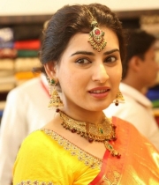 archana-beautiful-saree-photos13