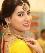 archana-beautiful-saree-photos14
