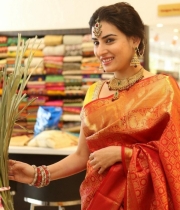 archana-beautiful-saree-photos15