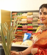 archana-beautiful-saree-photos8