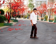 srimannarayana-latest-movie-stills-12