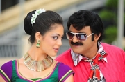 srimannarayana-latest-movie-stills-9